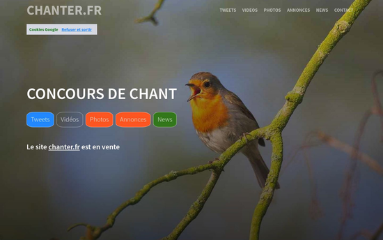Chanter | Devenir un pro du chant en suivant la formation adaptée qui vous convient !